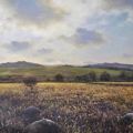 Hound Tor Down, 81 x 51cm, oil on canvas