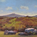 Bonehill towards Rippon Tor (plein air), 43 x 75cm, oil wood panel