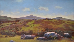 Bonehill towards Rippon Tor (plein air), 43 x 75cm, oil wood panel