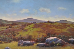 Bonehill towards Rippon Tor (plein air), 43 x 75cm, oil wood panel