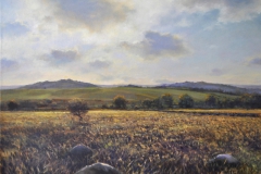 Hound Tor Down, 81 x 51cm, oil on canvas