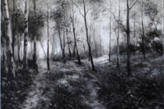 A-walk-through-Blean-Woods-1