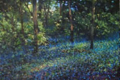 A-walk-through-Blean-Woods-27