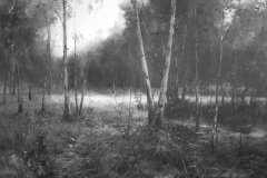 Blean-Woods-1-60-x-45cm-oil-on-canvas