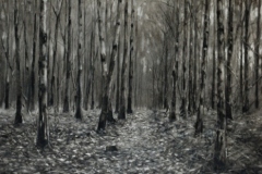 Blean-Woods-7